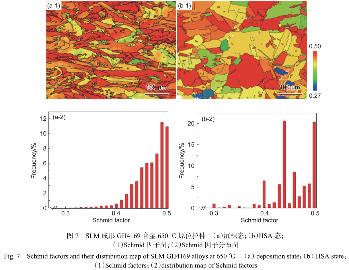 原位拉伸研究熱處理對激光選區熔化GH4169合金組織及650℃力學性能的影響 原位拉伸研究熱處理對激光選區熔化GH4169合金組織及650℃力學性能的影響