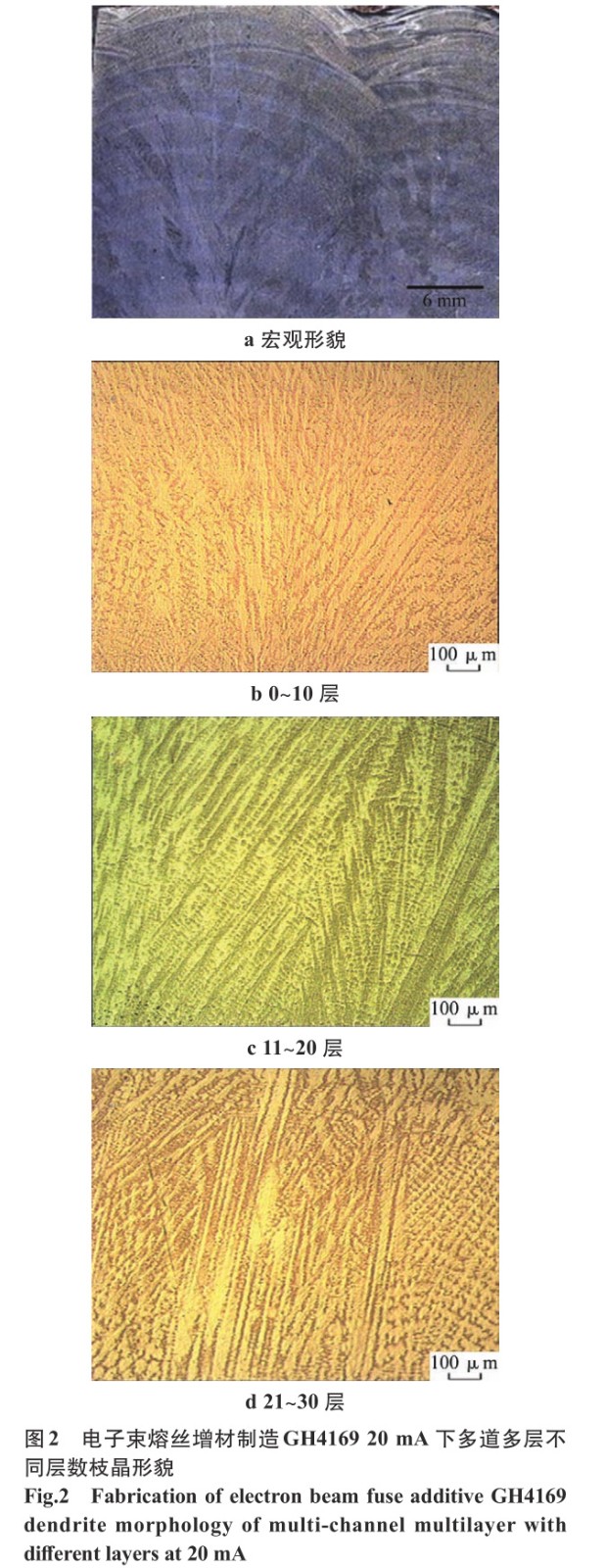 1695204745984781.jpg t2.jpg