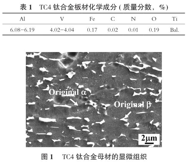 1695741918285592.jpg b1-t1.jpg