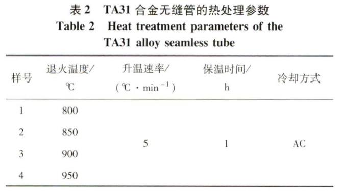 1695806236222687.jpg b2.jpg