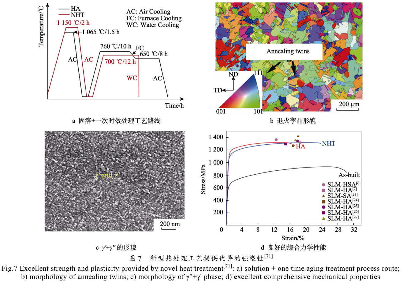 1708095389877682.jpg t7.jpg