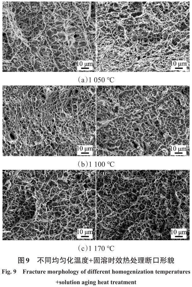 1716215712209014.jpg 未標(biāo)題-4.jpg