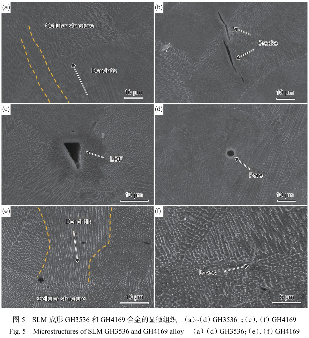 1716295719724145.jpg 未標題-1.jpg
