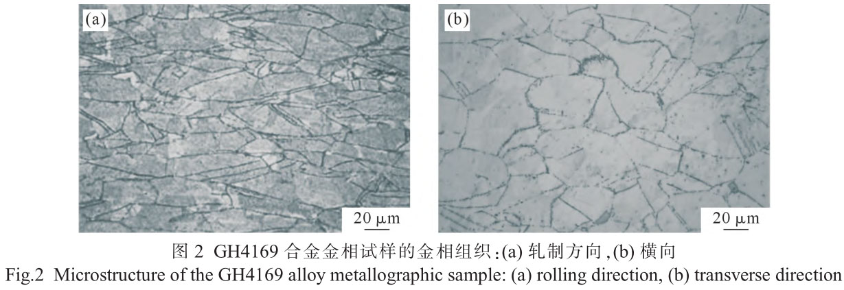 1716453746547846.jpg t2.jpg