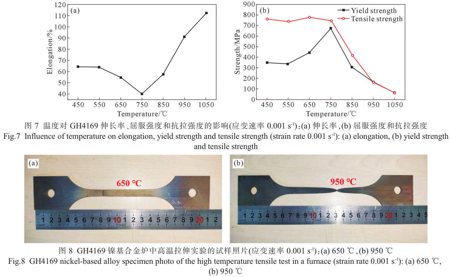 1716453794447264.jpg t7-8.jpg