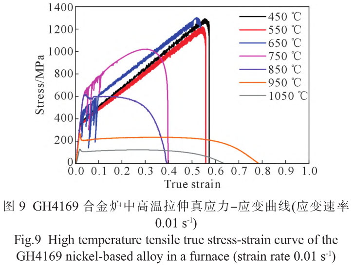 1716453811812790.jpg t9.jpg