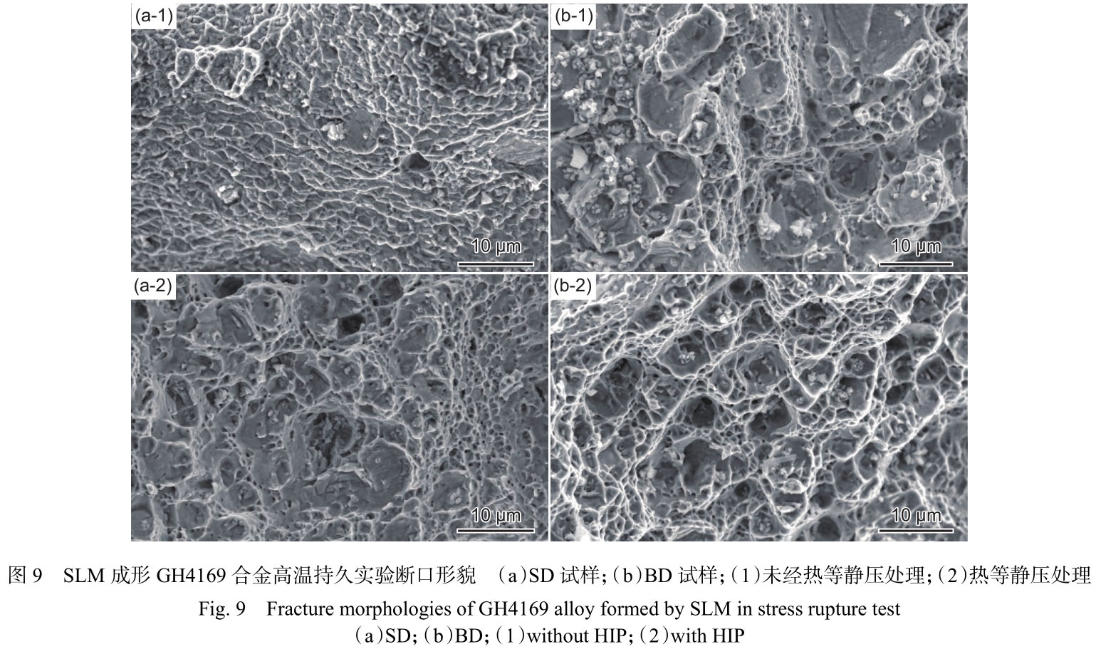 1716520487317031.jpg t9.jpg