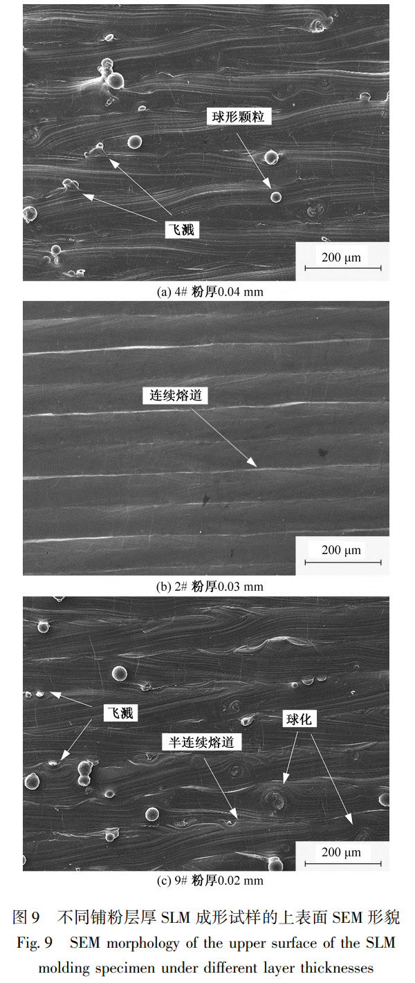 1738937839357230.jpg 9.jpg