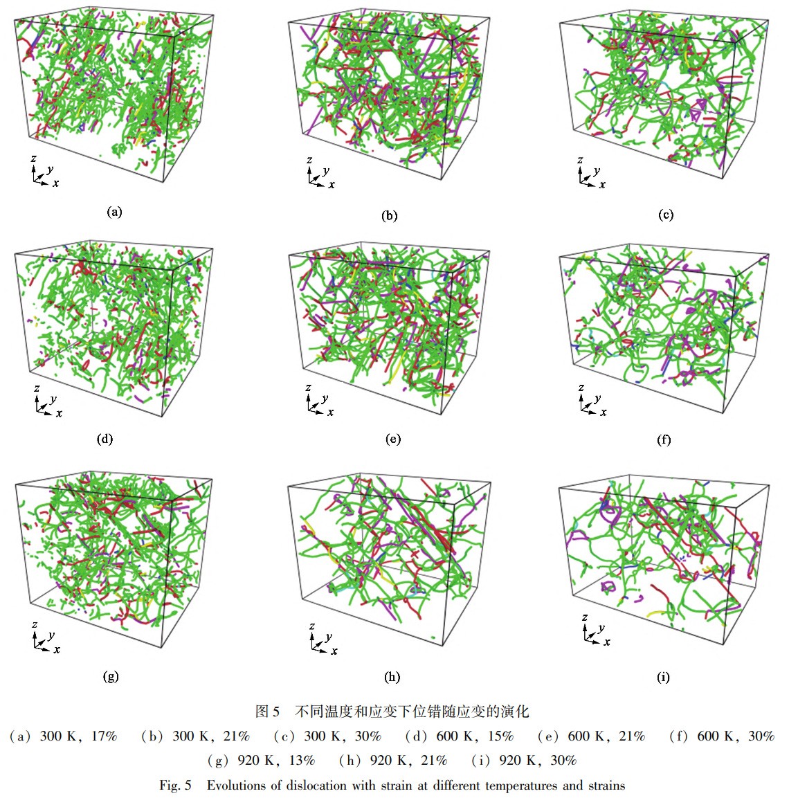 1739104457924012.jpg 5.jpg